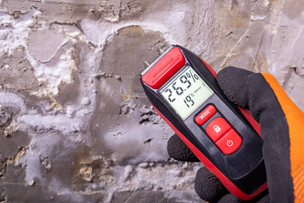 Best Residential Mold Removal  in Walford, IA