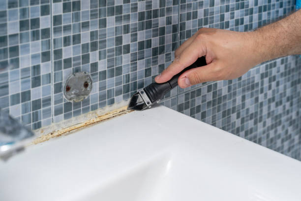 Best Mold Testing  in Walford, IA