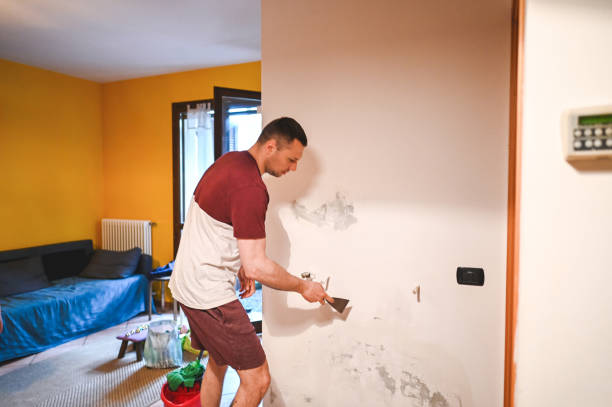 Best Crawl Space Mold Removal  in Walford, IA